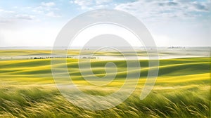 Blooming flat steppe with fresh green grass on a bright day with light fog in the background,