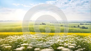 Blooming flat steppe with fresh green grass on a bright day with light fog in the background,