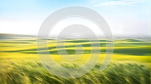 Blooming flat steppe with fresh green grass on a bright day with light fog in the background,