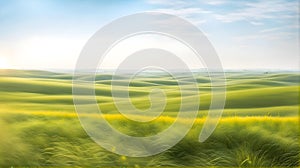 Blooming flat steppe with fresh green grass on a bright day with light fog in the background,