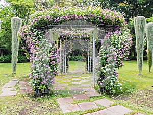 Blooming flower arch photo