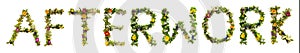 Blooming Flower Letters Building English Word Afterwork