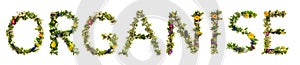 Blooming Flower Letters Building English Word Organise