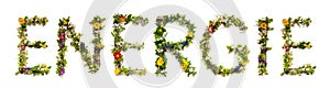 Blooming Flower Letters Building German Word Energie Means Energy