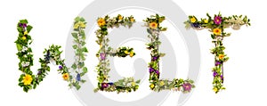 Blooming Flower Letters Building German Word Welt Means World