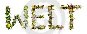 Blooming Flower Letters Building German Word Welt Means World photo