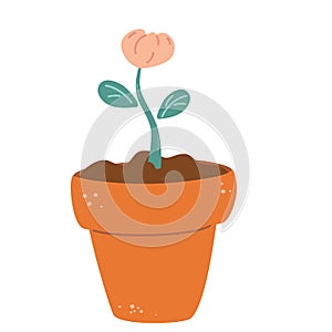 Blooming flower in a pot. Floral pot. Plant bloom stages. Growing plant. Vector illustration