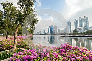 Blooming flowerbeds at the Benjakitti Park in Bangkok photo