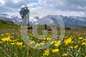 Blooming flowers on Assy plateau with observatory dome on background. Spring in Tien-shan mountains
