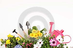 Blooming flowers and gardening equipment on white background