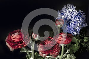 Blooming flowers of various colors isolated on black background.