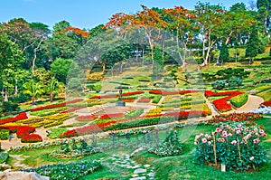 The blooming garden, Mae Fah Luang garden, Doi Tung, Thailand photo