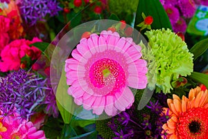 Blooming of indoor flowers