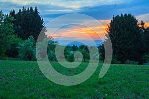 Blooming landscape in the sunset