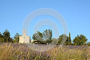 Blooming lavender field and tall grass in front of a chapel.