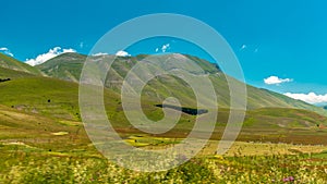 Blooming of lentil on Castelluccio di Norcia plain