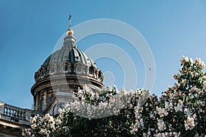 Lilac Bush, orthodox dome of the Kazan Cathedral in  Petersburg