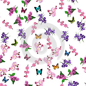 Blooming lilac flower