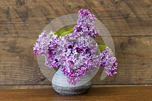 Blooming lilac flowers