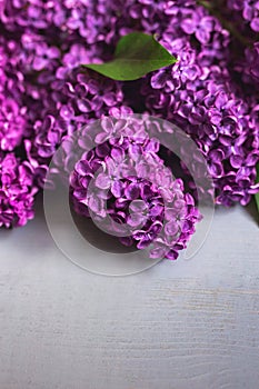 Blooming lilac flowers on grey wooden table.