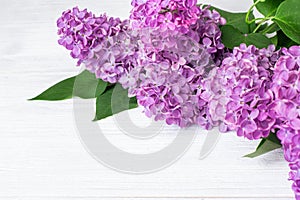 Blooming lilac flowers (syringa vulgaris) on white rustic wooden table. Top view banner with copy space photo