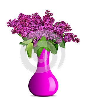 Blooming lilac flowers in vase