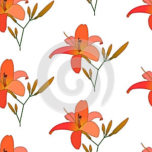 Blooming lilies floral pattern vector