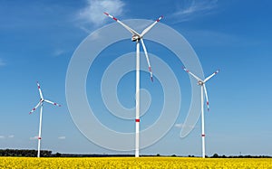 Blooming oilseed with wind energy plants