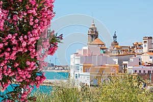 Blooming Oleander against the background of the historical center in the Sitges, Barcelona, Catalunya, Spain. Copy space for text.