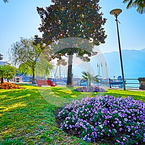 Blooming petunia flower beds in park on Lake Maggiore, Locarno, Switzerland
