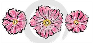 Blooming pink mallow flowers, set. Stylish sketch of hand-drawn ink and colored pastels.