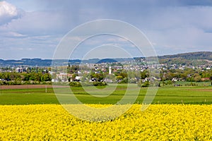 Blooming rapeseed field with a view of Menden sauerland (Platte Heide) photo