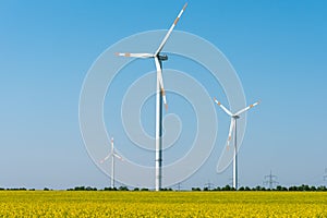 Blooming rapeseed field with wind turbines