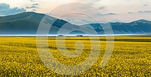 Blooming rapeseed at Piano Grande, Umbria, Italy