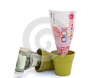 Blooming RMB and fade USD