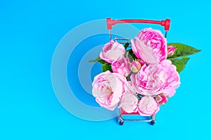 Blooming Rose Buds in Miniature Push Cart on Blue