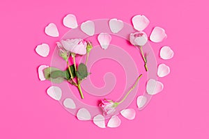 Blooming Roses Heart-Framed with Delicate Petals on Pink