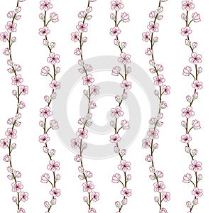 Blooming sakura branches with pink flowers. Cherry blossom seamless pattern