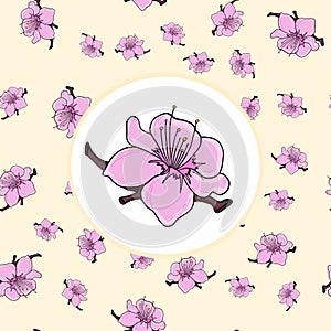 Blooming sakura or cherry Japanese seamless pattern. Hand drawn vector illustration