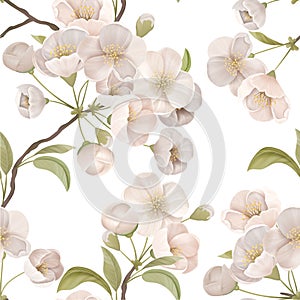 Blooming Sakura Decor for Fabric Art. Cherry Flower Seamless Pattern with Blossoms and Leaves on White Color Background