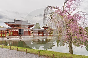 Byodo-in Buddhist temple in Uji, Kyoto, Japan