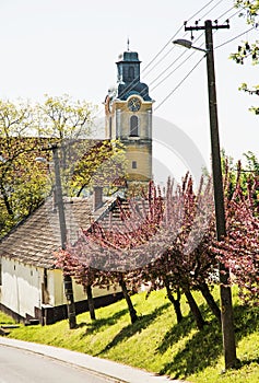 Blooming sakura trees and old church, seasonal scene