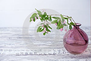 Blooming spring branches of flowers in glass pink vase on wooden vintage white background with copy space. Elegant home spring