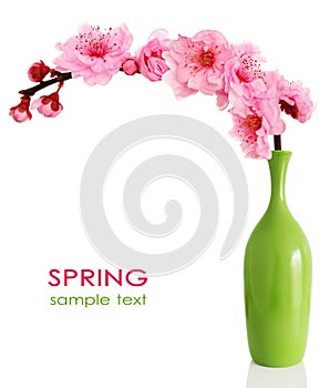 Blooming spring cherry branch in vase