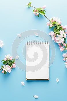 Blooming spring sakura on a blue background with notepad space for a greeting message. The concept of spring and mother`s day.