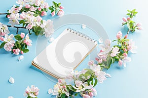 Blooming spring sakura on a blue background with notepad space for a greeting message. The concept of spring and mother`s day.
