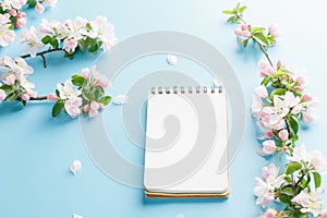 Blooming spring sakura on a blue background with notepad space for a greeting message. The concept of spring and mother`s day.