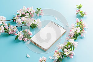 Blooming spring sakura on a blue background with notepad space for a greeting message. The concept of spring and mother`s day.