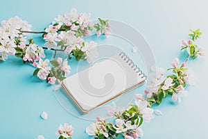 Blooming spring sakura on a blue background with notepad space for a message. Low contrast