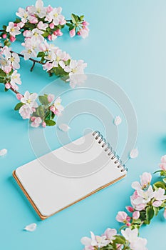 Blooming spring sakura on a blue background with notepad space for a message. Low contrast